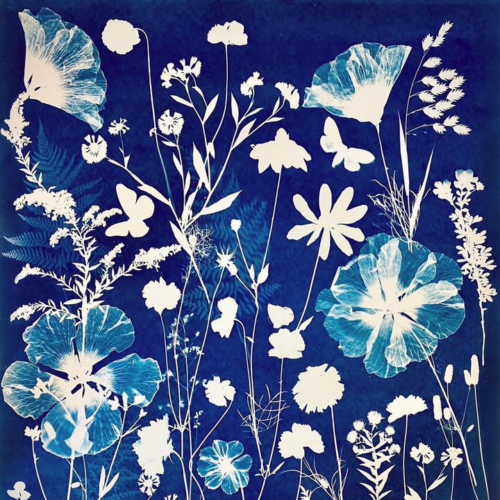 Explore the Magic of Cyanotype Printing: Create Beautiful Blue Prints at Home!