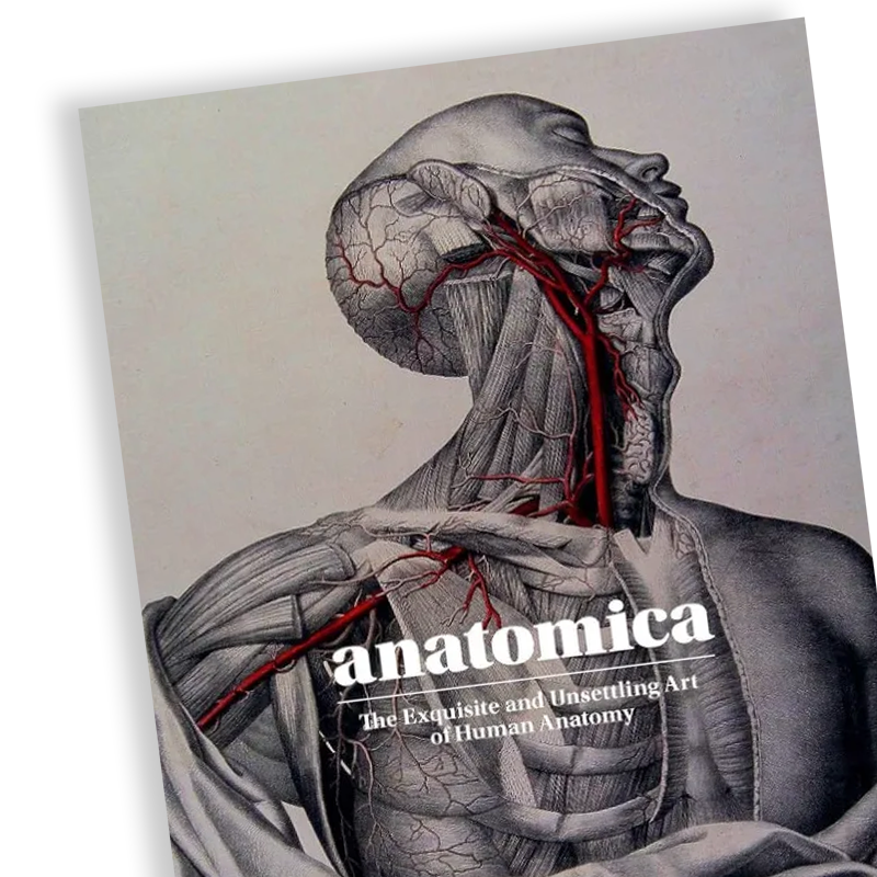 Figure Drawing Books