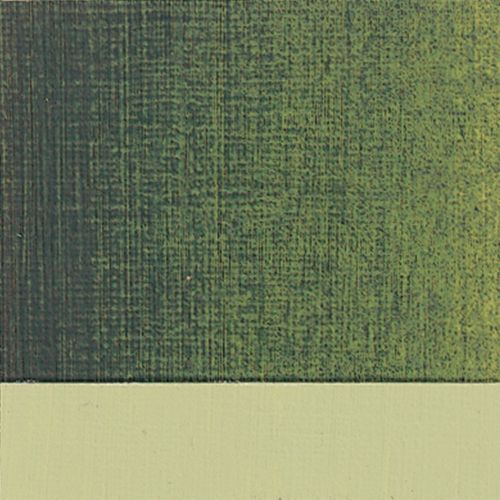 Art Spectrum Oil Paint S3 Australian Leaf Green Dark