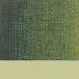 Art Spectrum Oil Paint S3 Australian Leaf Green Dark 40ml