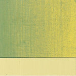 Art Spectrum Oil Paint S3 Australian Leaf Green Light 40ml