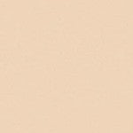 Art Spectrum Colourfix Pastel Primer Australian Grey 250ml