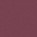 Art Spectrum Colourfix Pastel Primer Burgundy
