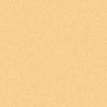 Art Spectrum Colourfix Pastel Primer Rich Beige 250ml