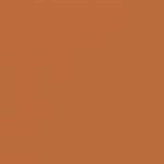 Art Spectrum Colourfix Pastel Primer Raw Sienna