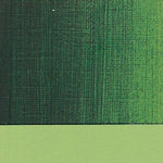 Art Spectrum Oil Paint S2 Sap Green