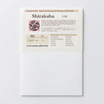Awagami Shirakaba Paper 100gsm Packet 12 A4