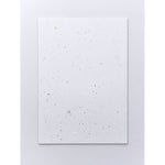 Awagami Washi Fibres Paper Gold/Silver Flake Packet 10