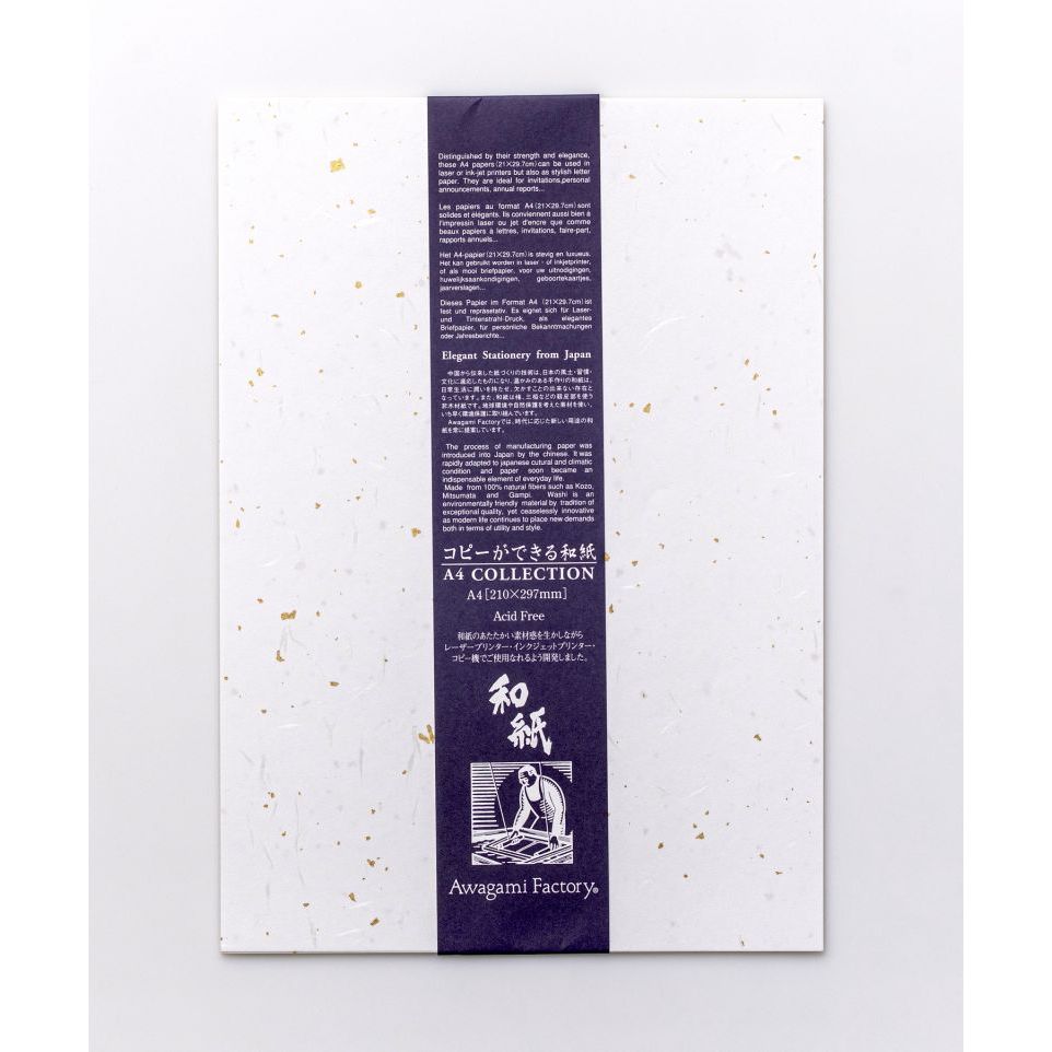 Awagami Washi Fibres Paper Gold/Silver Flake Packet 10