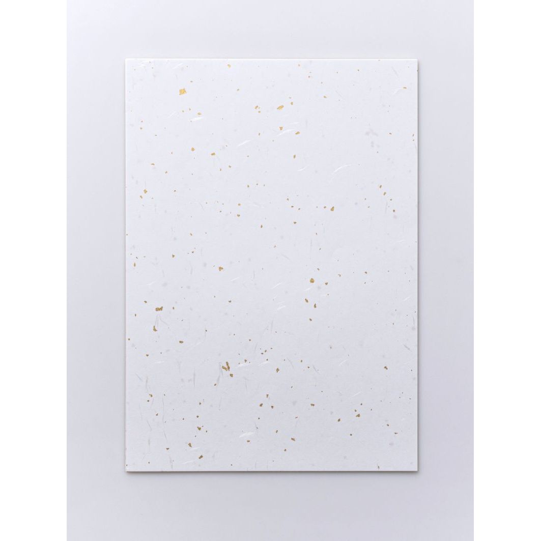 Awagami Washi Fibres Paper Gold/Silver Flake Packet 10 A4