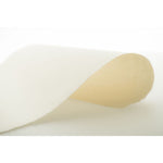 Awagami Editioning Bunkoshi Select Paper 70gsm Sheet 52x43cm