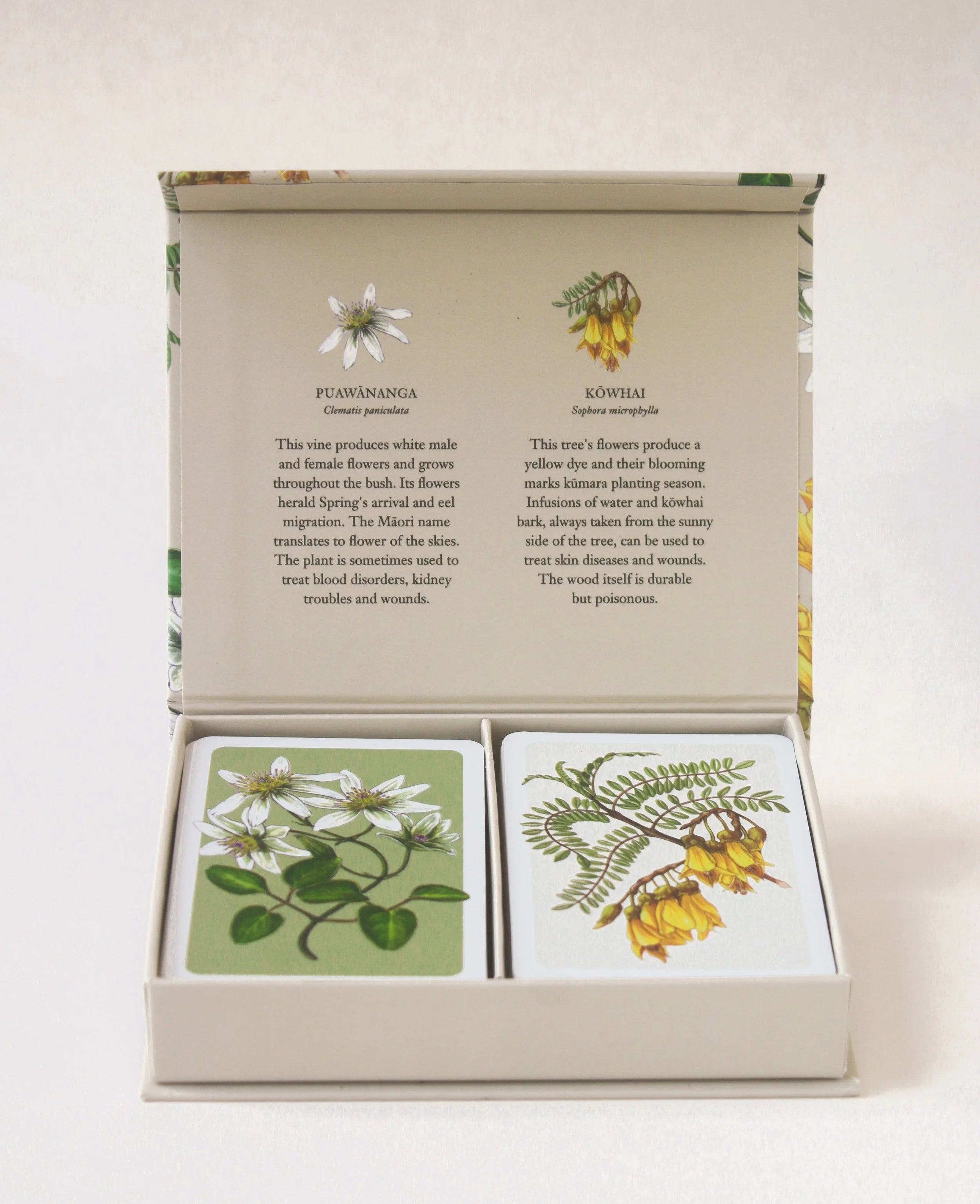 LEGO BOTANICAL PLAYING CARDS: TWO-DECK SET
