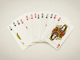 LEGO BOTANICAL PLAYING CARDS: TWO-DECK SET