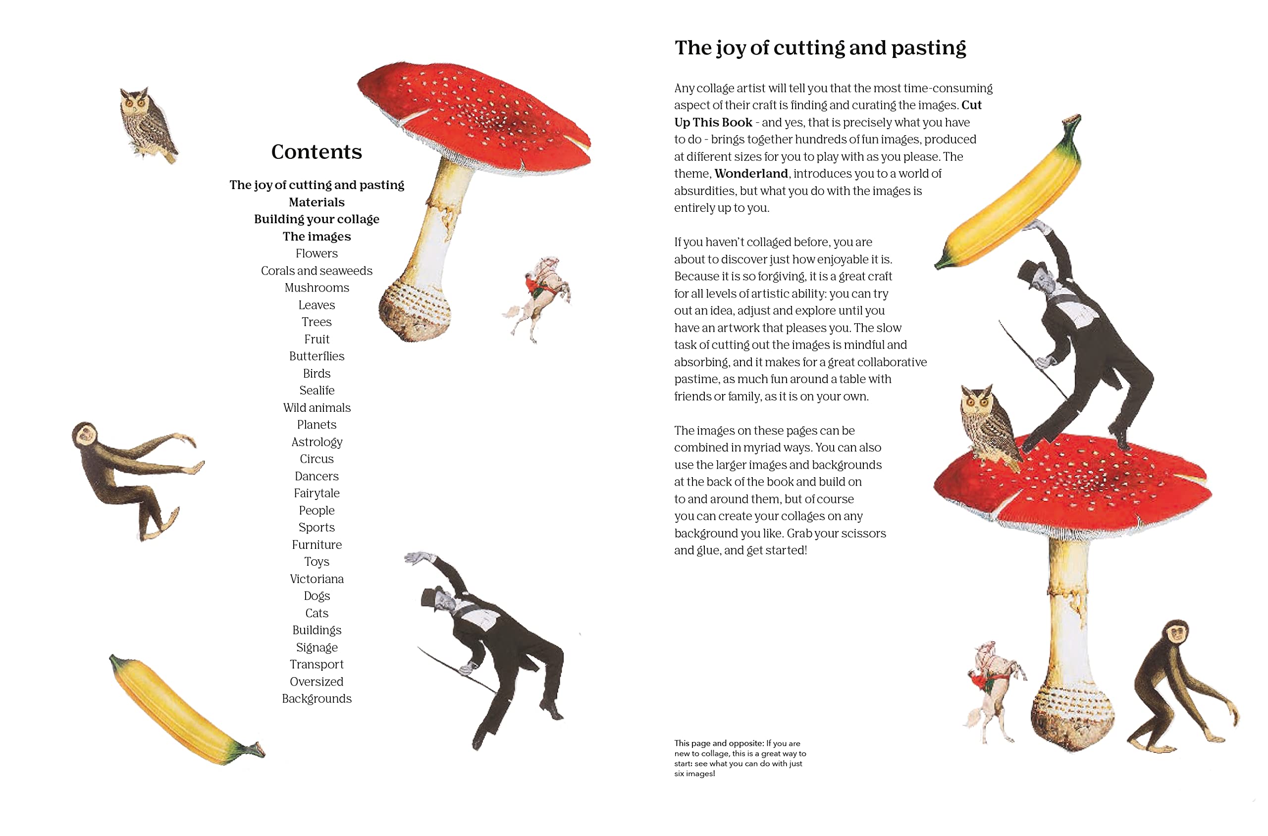 Product image for B97681837760022