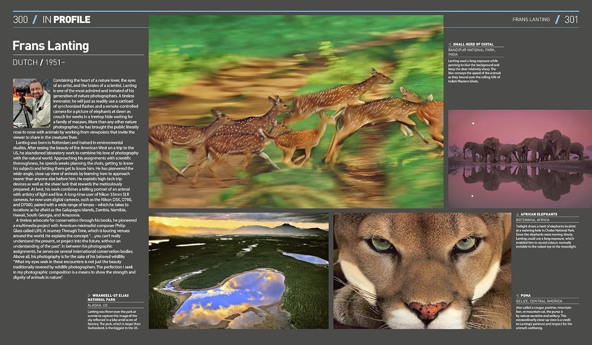 Product image for B9780241515877