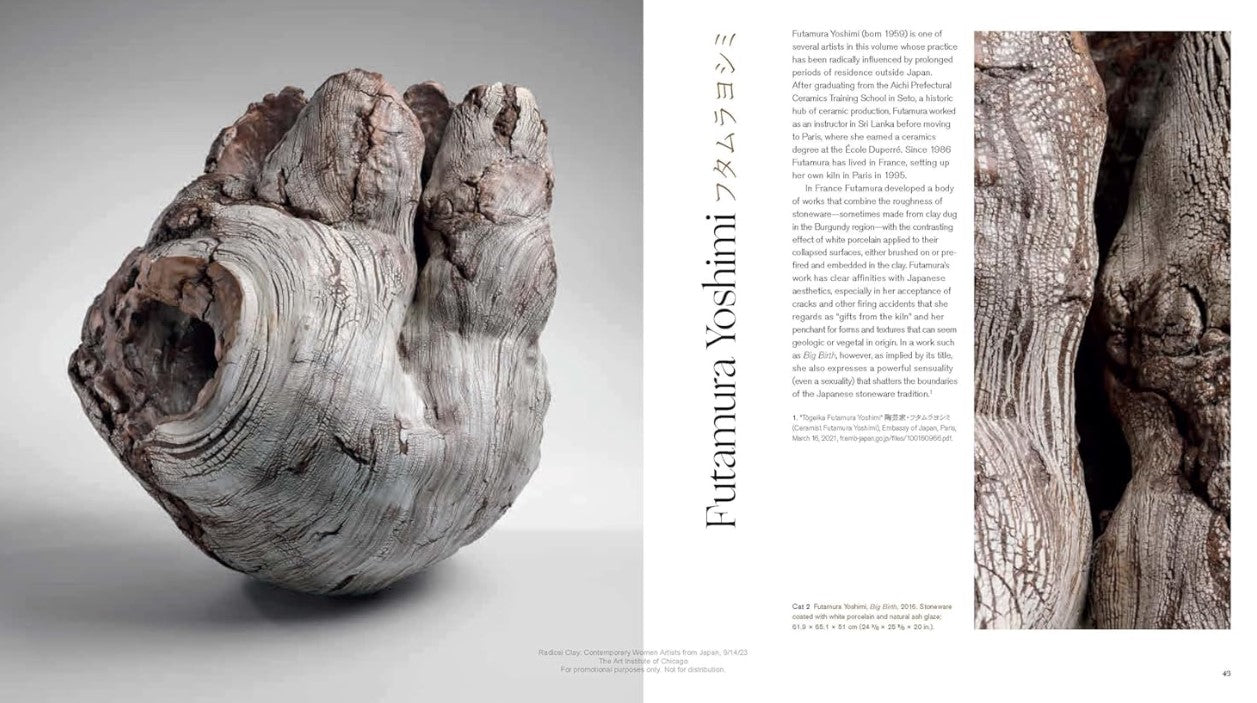 Product image for B9780300273236