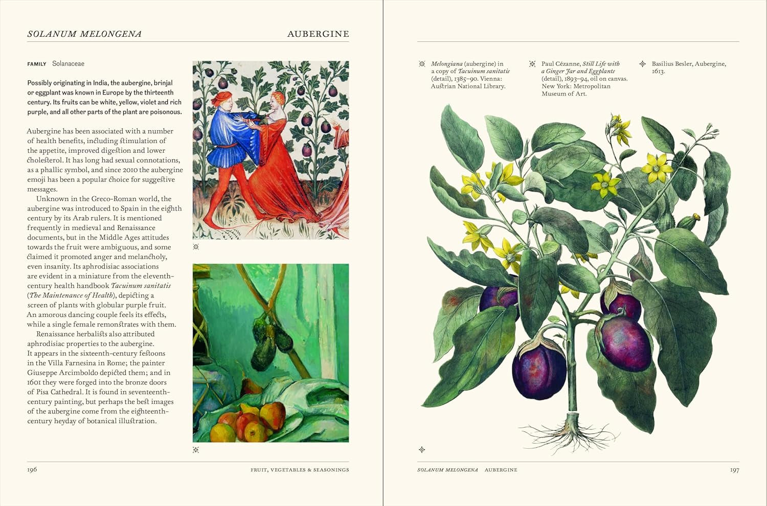 THE SECRET LANGUAGE OF PLANTS