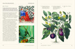 THE SECRET LANGUAGE OF PLANTS