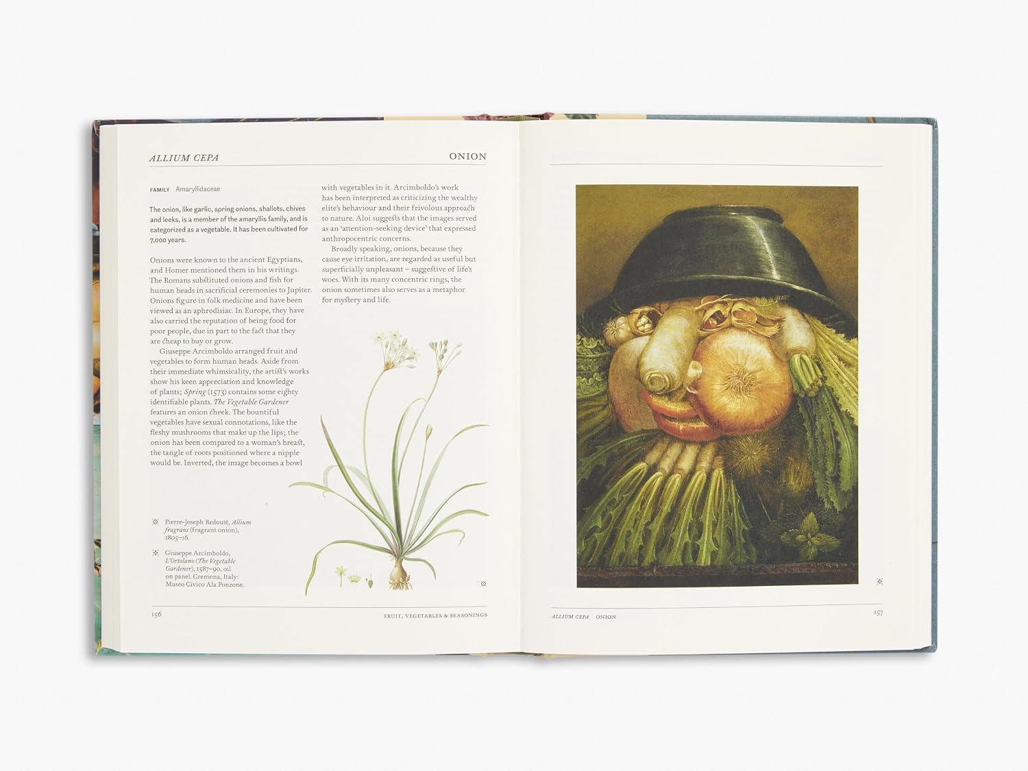 THE SECRET LANGUAGE OF PLANTS