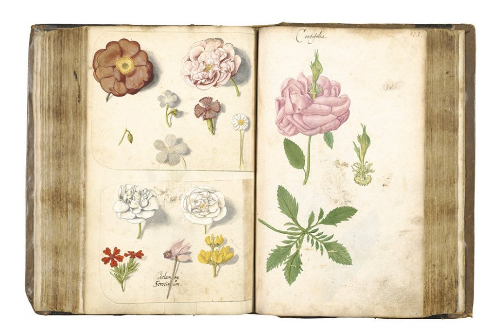 Product image for B9780500297186