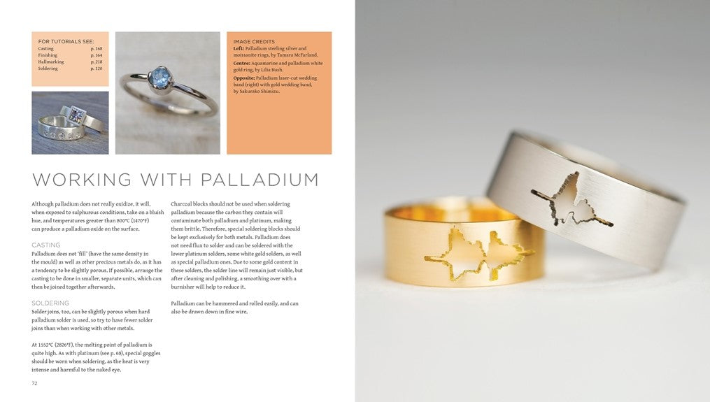 Product image for B9780500297858