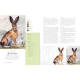 WILD WATERCOLOUR