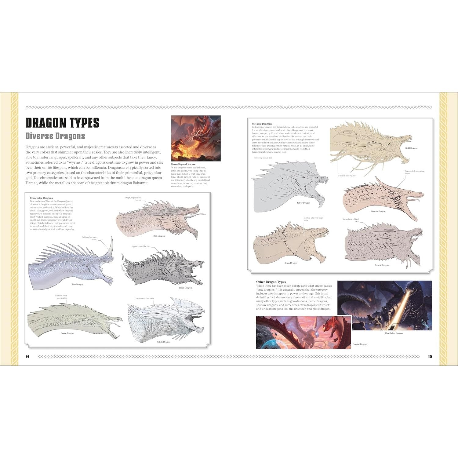 DUNGEONS AND DRAGONS BOOK OF DRAGONS