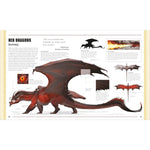 DUNGEONS AND DRAGONS BOOK OF DRAGONS