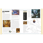 DUNGEONS AND DRAGONS BOOK OF DRAGONS