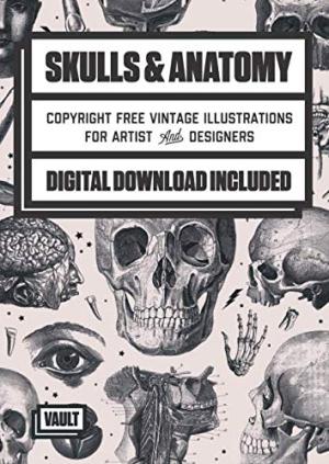SKULLS & ANATOMY COPYRIGHT FREE VINTAGE