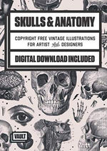SKULLS & ANATOMY COPYRIGHT FREE VINTAGE
