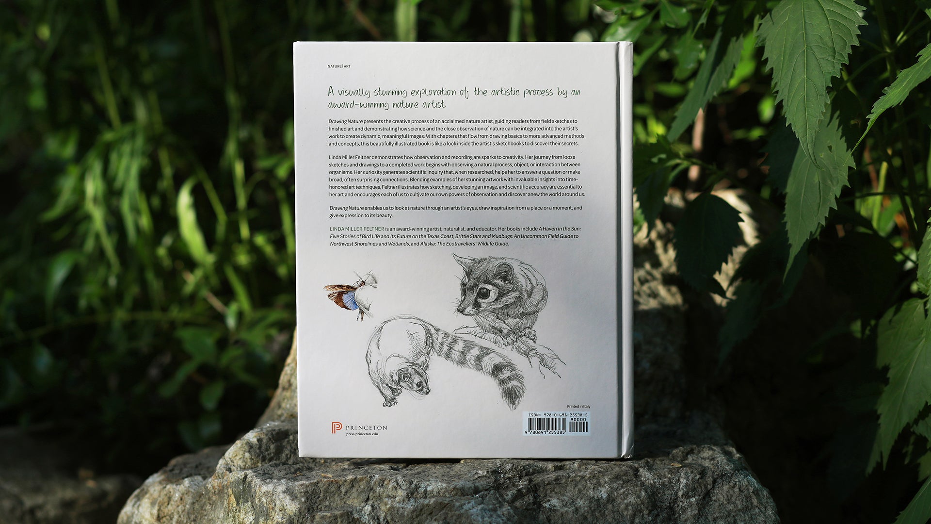 DRAWING NATURE: THE CREATIVE PROCESS OF AN ARTIST, ILLUSTRATOR, AND NATURALIST