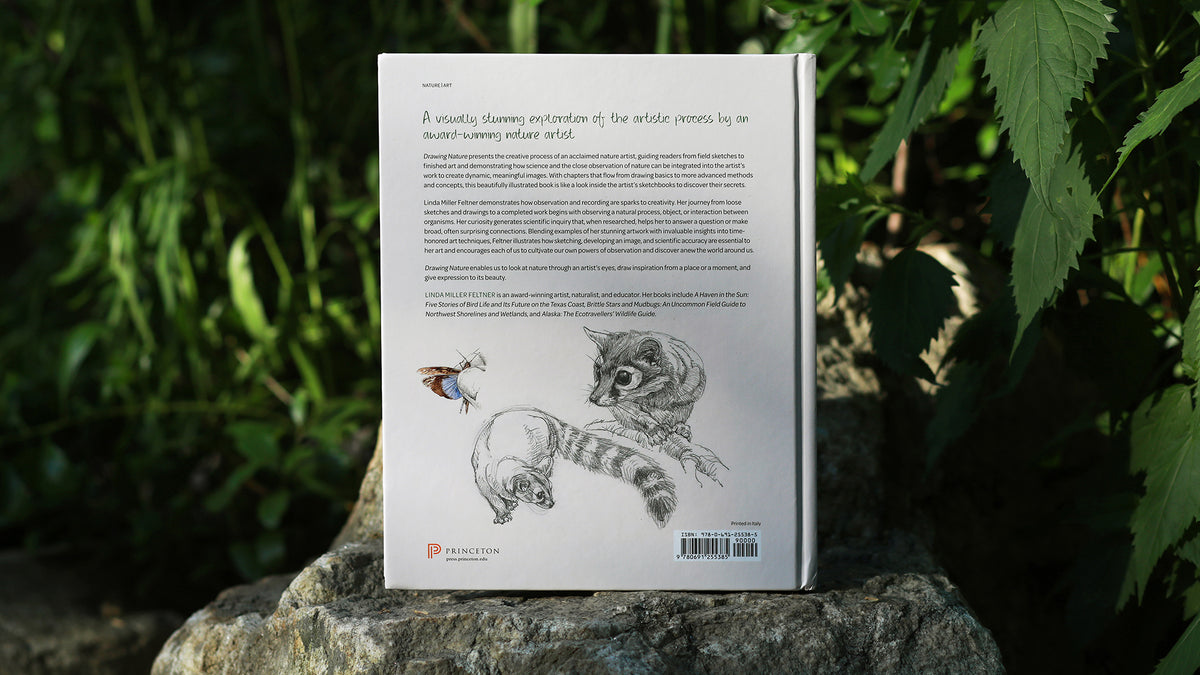 DRAWING NATURE: THE CREATIVE PROCESS OF AN ARTIST, ILLUSTRATOR, AND NATURALIST