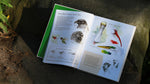 DRAWING NATURE: THE CREATIVE PROCESS OF AN ARTIST, ILLUSTRATOR, AND NATURALIST