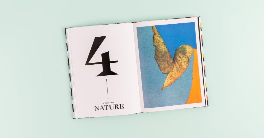 HISTORY OF COLOUR HOW WE UNDERSTAND COLOUR