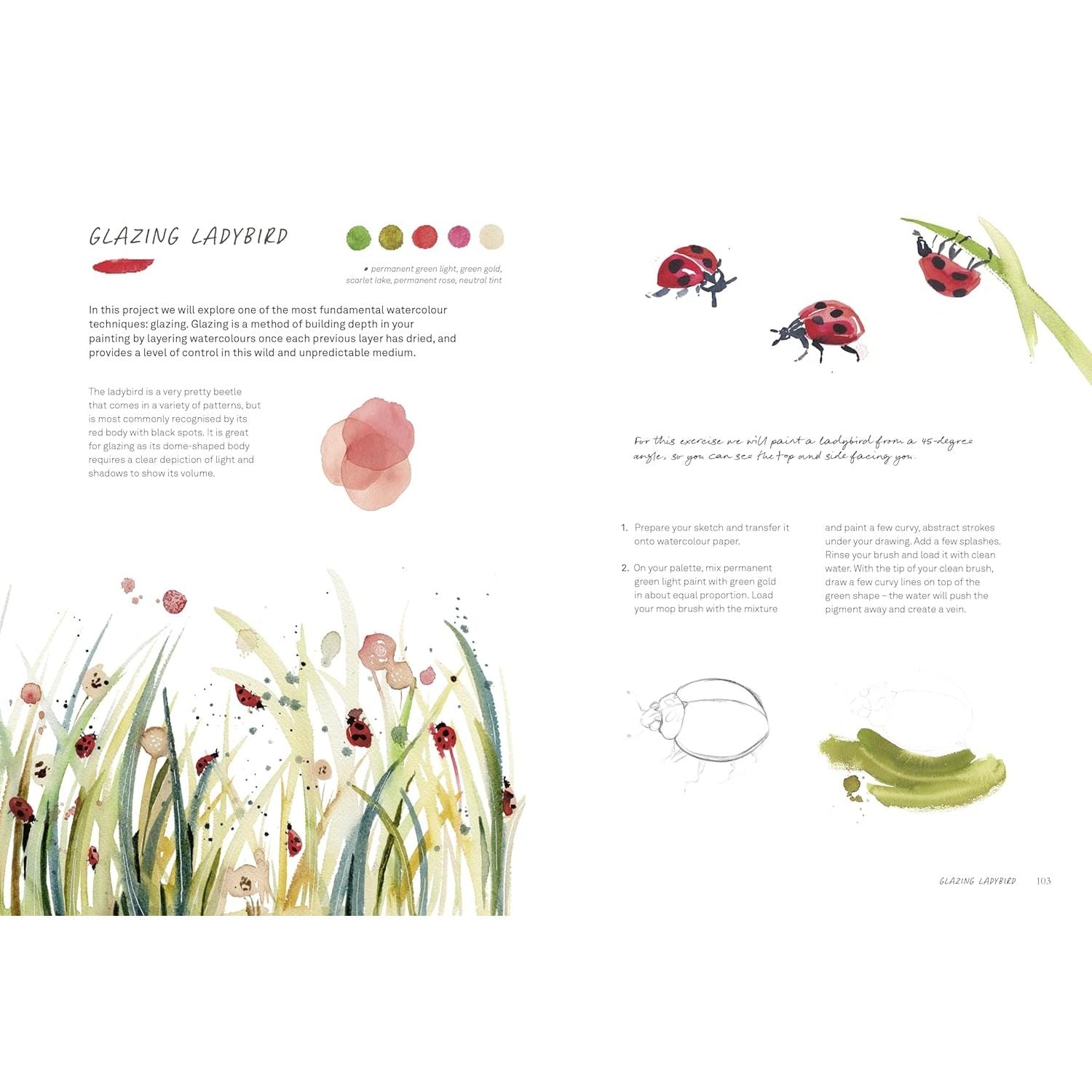 WILD WATERCOLOUR CONNECT TO THE  NATURAL WORLD