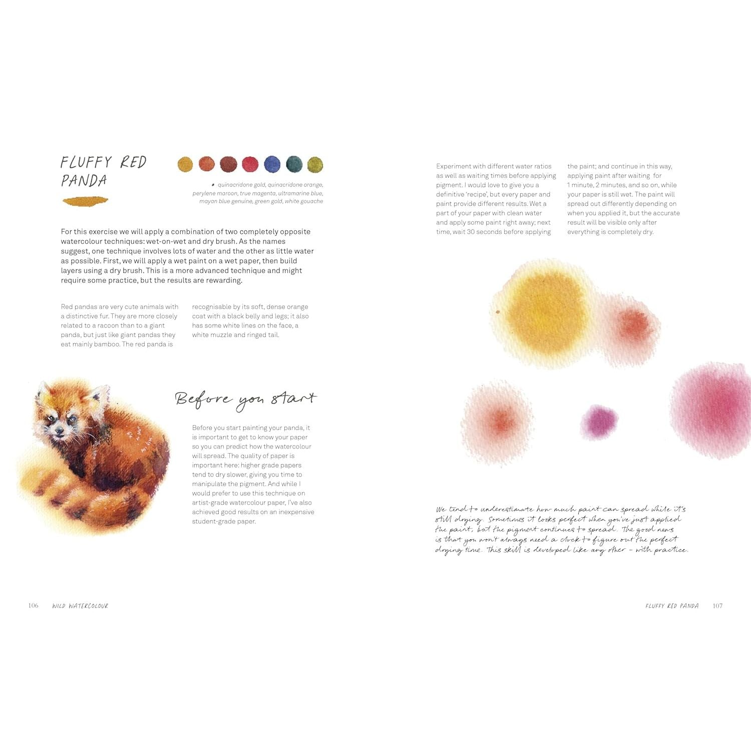 WILD WATERCOLOUR CONNECT TO THE  NATURAL WORLD