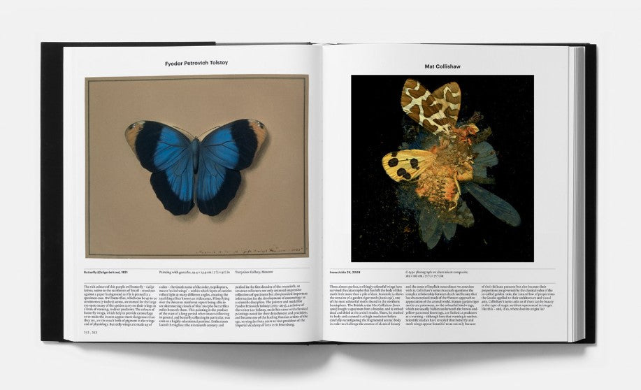 Product image for B9780714876818