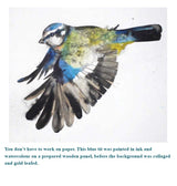 Product image for B9780719840814