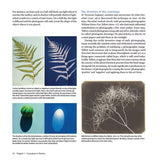 Product image for B9780719842672