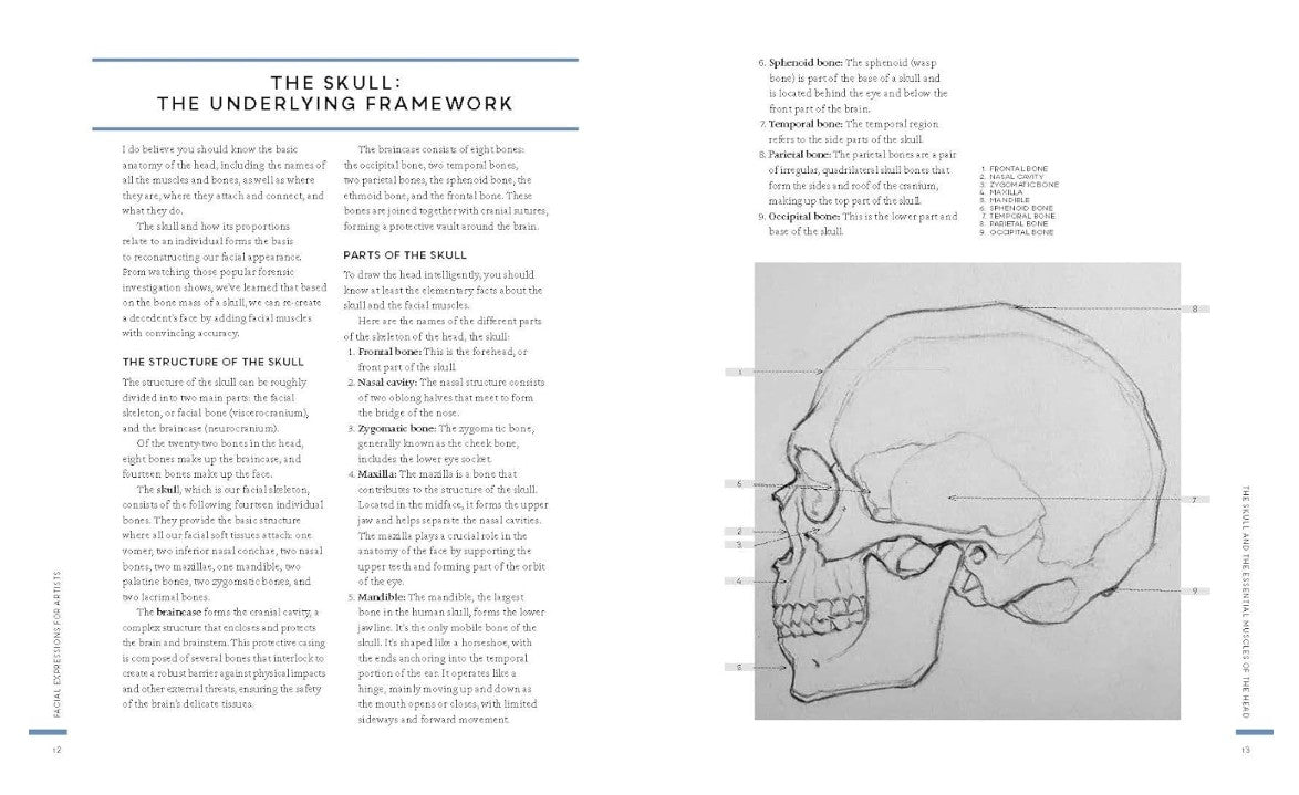 Product image for B9780760382400