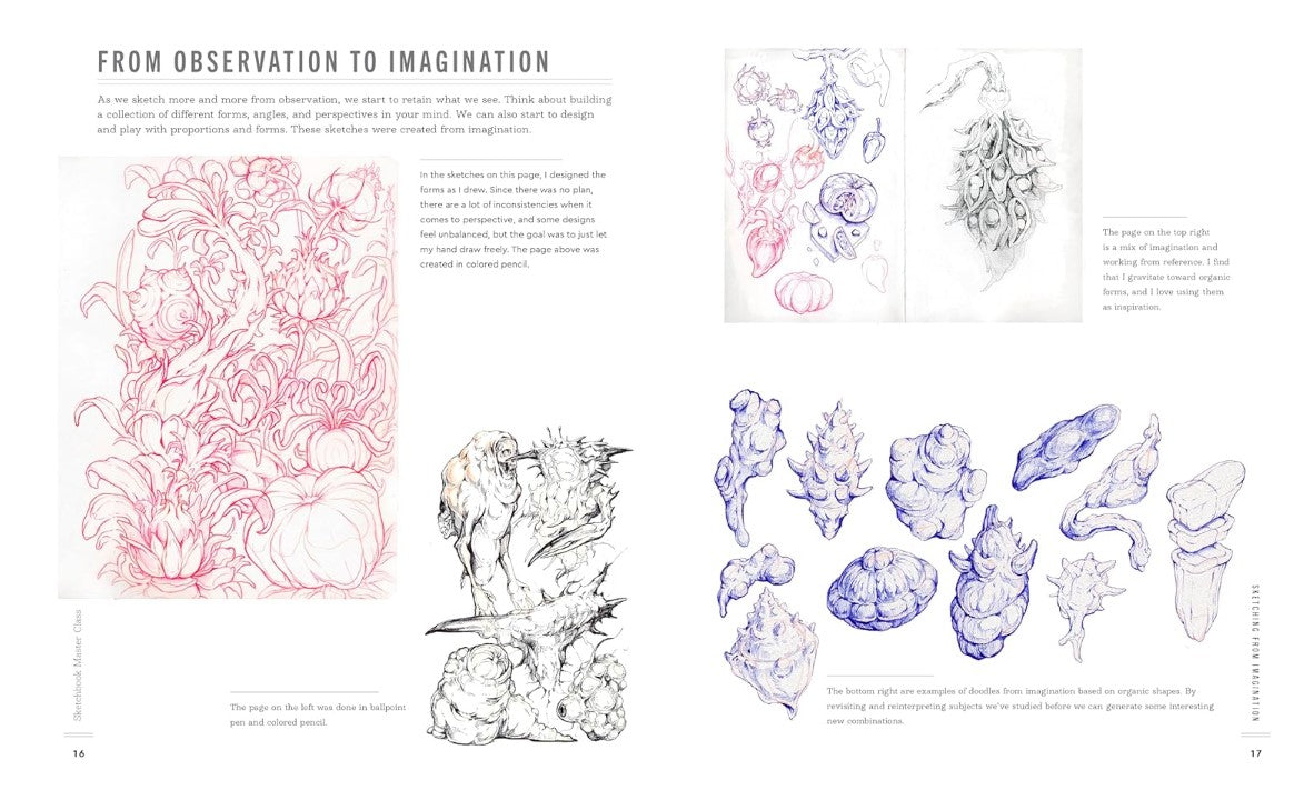 Product image for B9780760385272