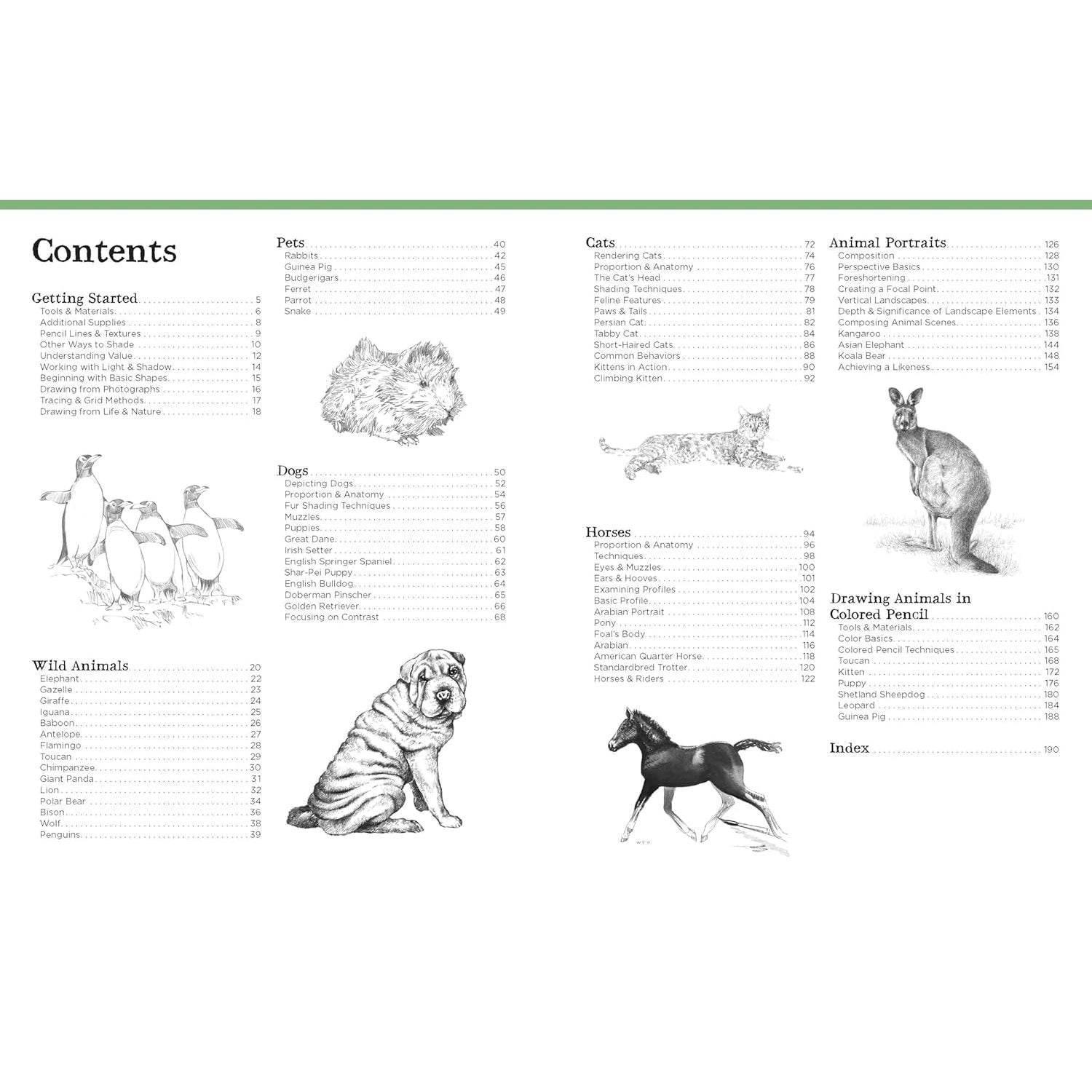 BIG SCHOOL OF DRAWING ANIMALS FOR BEGINNERS