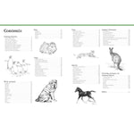 BIG SCHOOL OF DRAWING ANIMALS FOR BEGINNERS