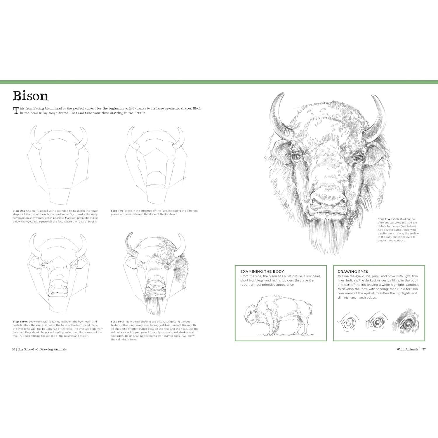 BIG SCHOOL OF DRAWING ANIMALS FOR BEGINNERS