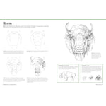 BIG SCHOOL OF DRAWING ANIMALS FOR BEGINNERS