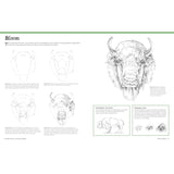BIG SCHOOL OF DRAWING ANIMALS FOR BEGINNERS