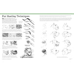 BIG SCHOOL OF DRAWING ANIMALS FOR BEGINNERS