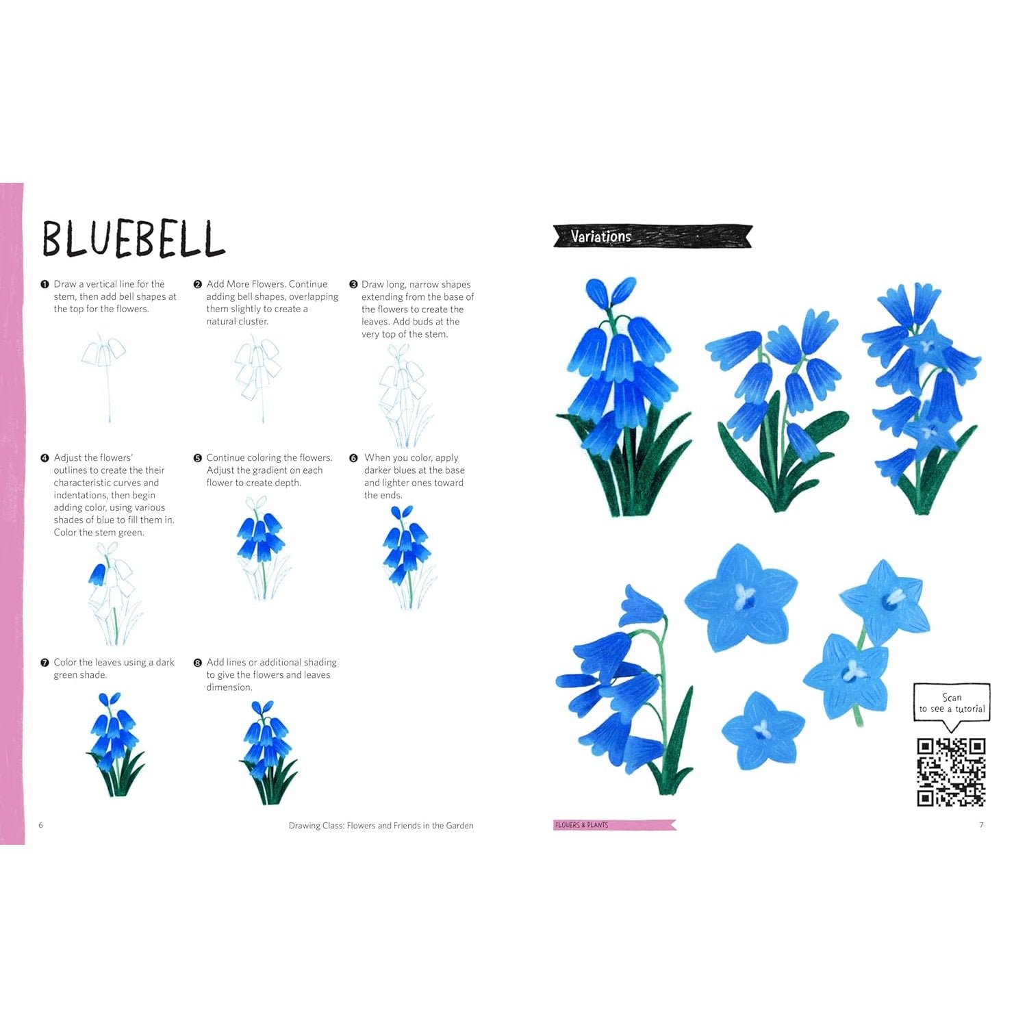 DRAWING CLASS FLOWERS AND FRIENDS IN THE GARDEN