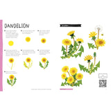 DRAWING CLASS FLOWERS AND FRIENDS IN THE GARDEN